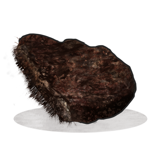 Burnt Bear Meat