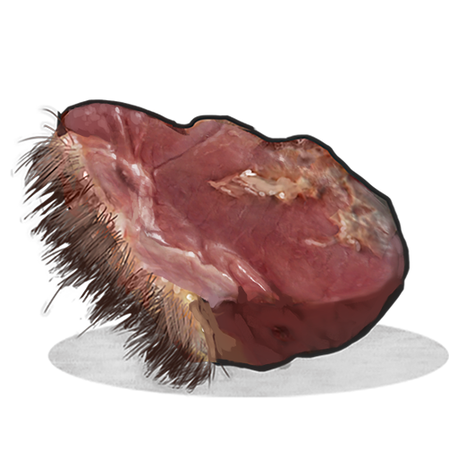 Raw Bear Meat