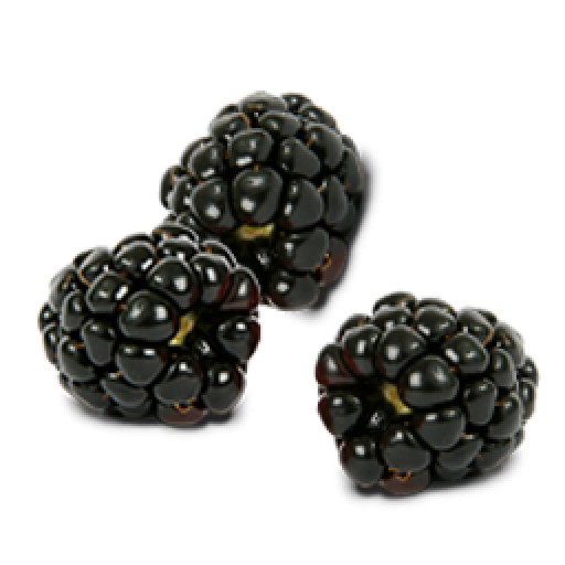 Black Raspberries