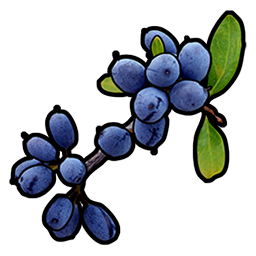 Blue Berry