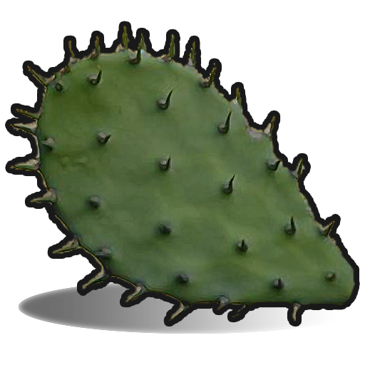 Cactus Flesh