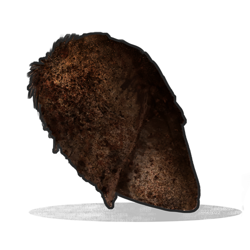 Burnt Chicken
