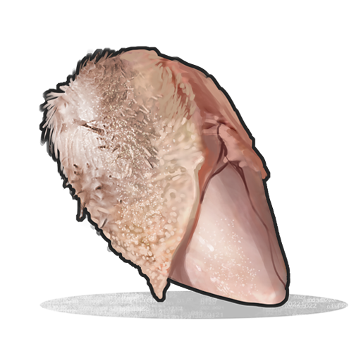 Raw Chicken Breast