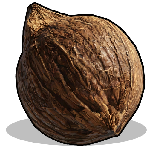 Coconut