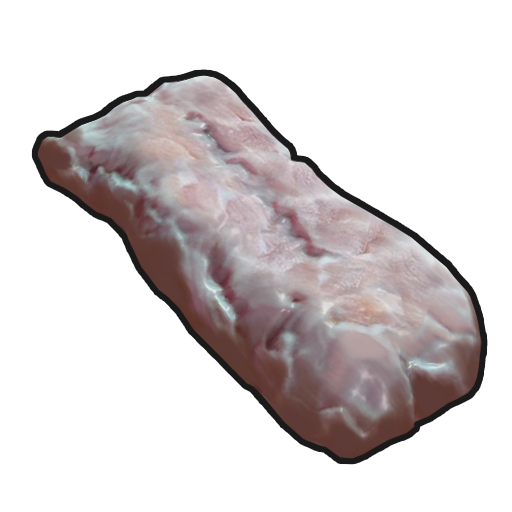 Raw Crocodile Meat