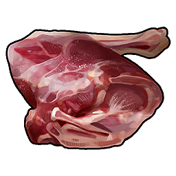Raw Deer Meat