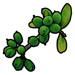 Green Berry