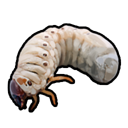 Grub