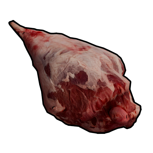 Raw Horse Meat