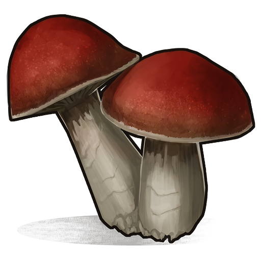 Mushroom