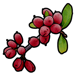 Red Berry