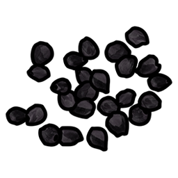 Black Berry Seed