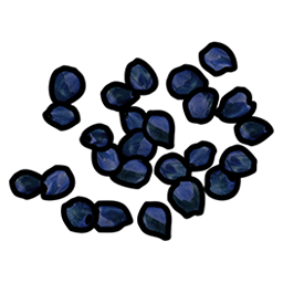 Blue Berry Seed