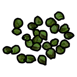 Green Berry Seed