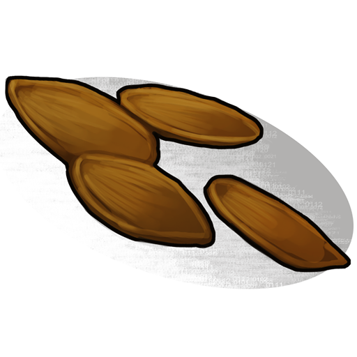 Pumpkin Seed