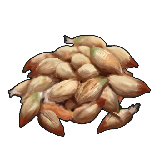 Rose Seed