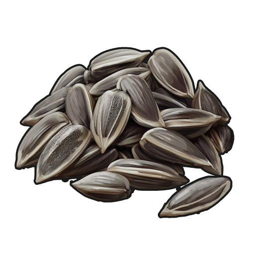 Sunflower Seed