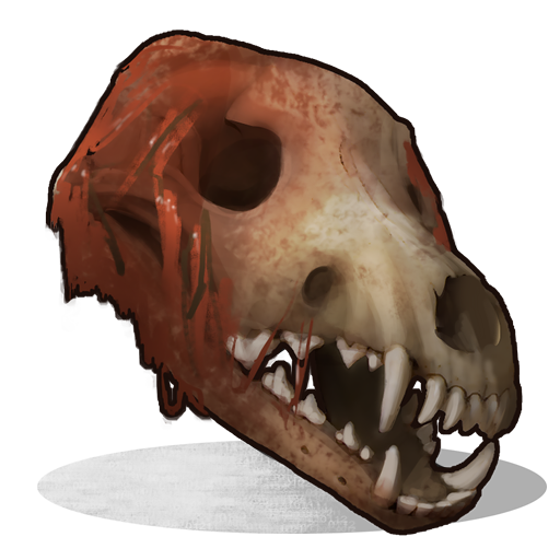 Wolf Skull