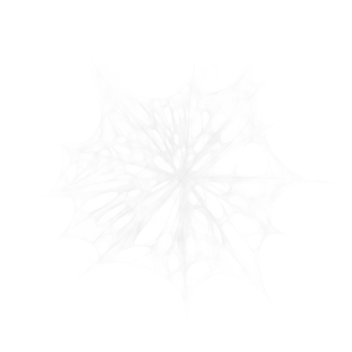 Spider Webs