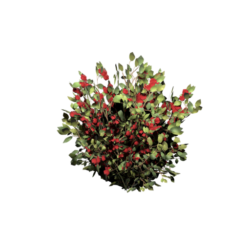 Red Berry