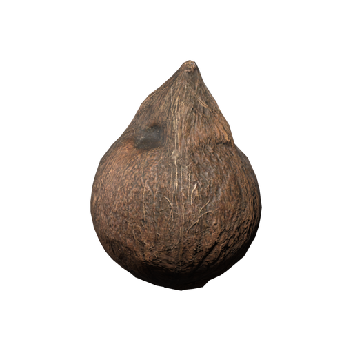Coconut