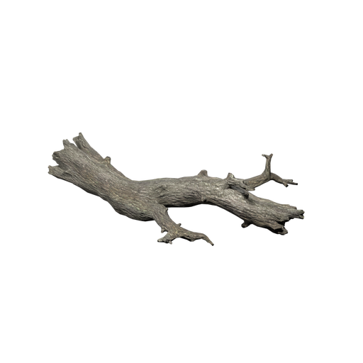 Dead Log
