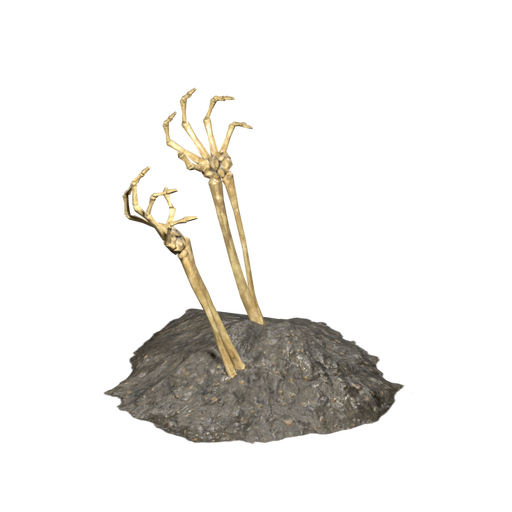 Bones
