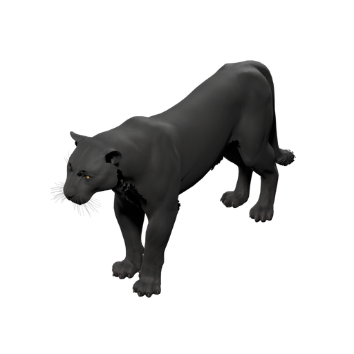 Panther