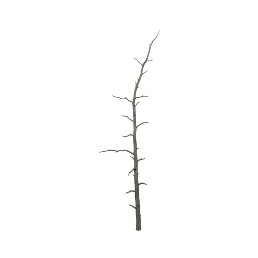 Pine Dead