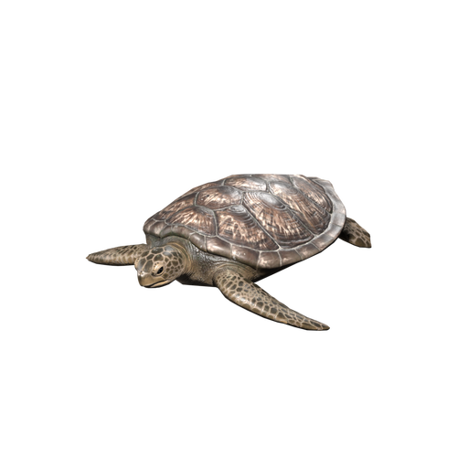 Sea Turtle