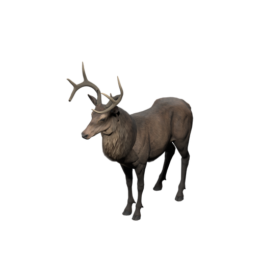 Stag