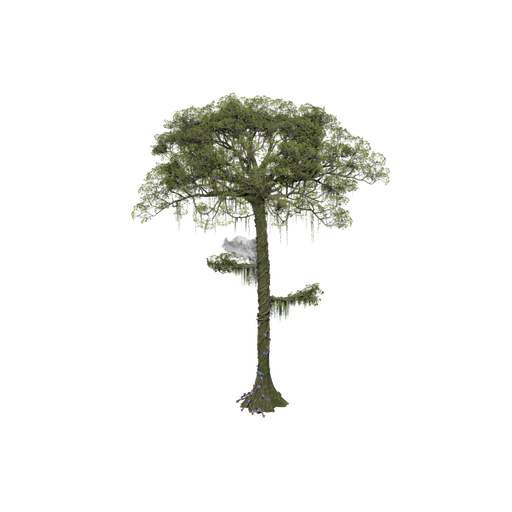 Vine Swinging Tree 03