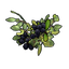 Black Berry Clone