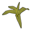 Corn Clone