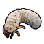 Grub