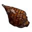 Cooked Horse Meat