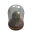 Skull Trophy