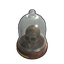 Skull Trophy