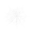 Spider Webs