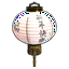 Chinese Lantern White